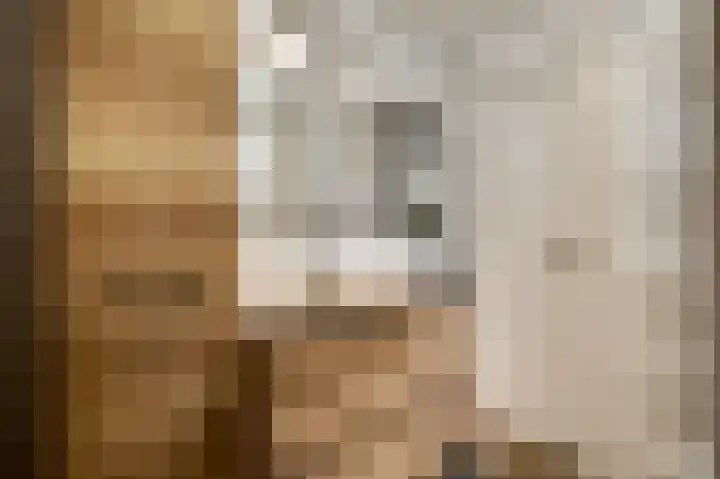Beeleweg 19 Stramproy thumbnail 20