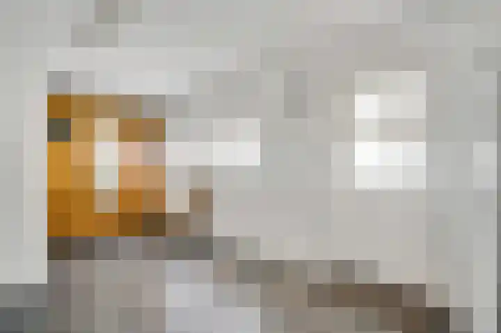 Beeleweg 19 Stramproy thumbnail 21