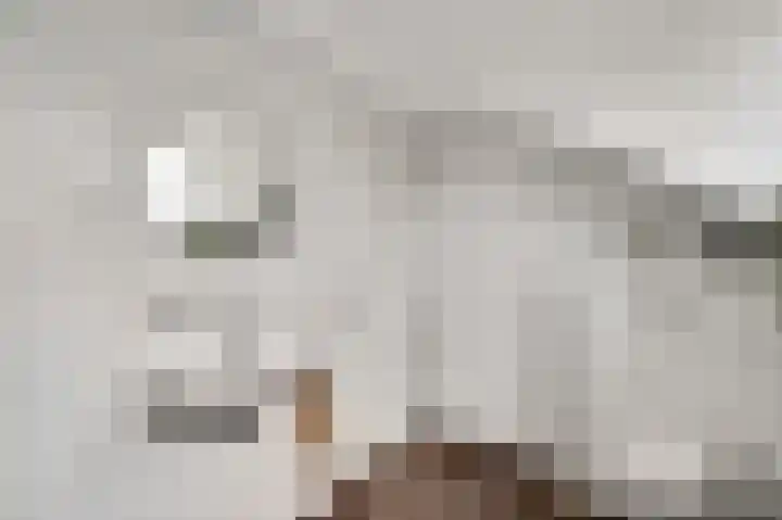 Beeleweg 19 Stramproy thumbnail 30