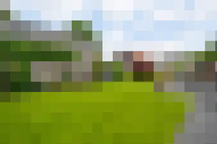 Beeleweg 19 Stramproy thumbnail 34