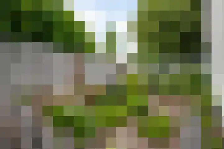 Beeleweg 19 Stramproy thumbnail 36