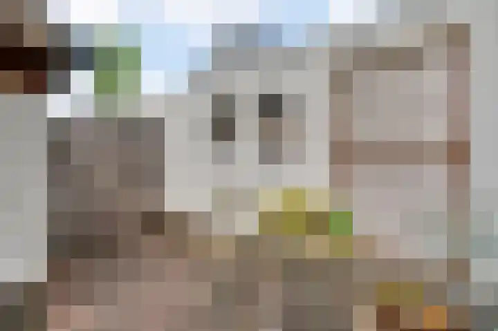 Beeleweg 19 Stramproy thumbnail 37