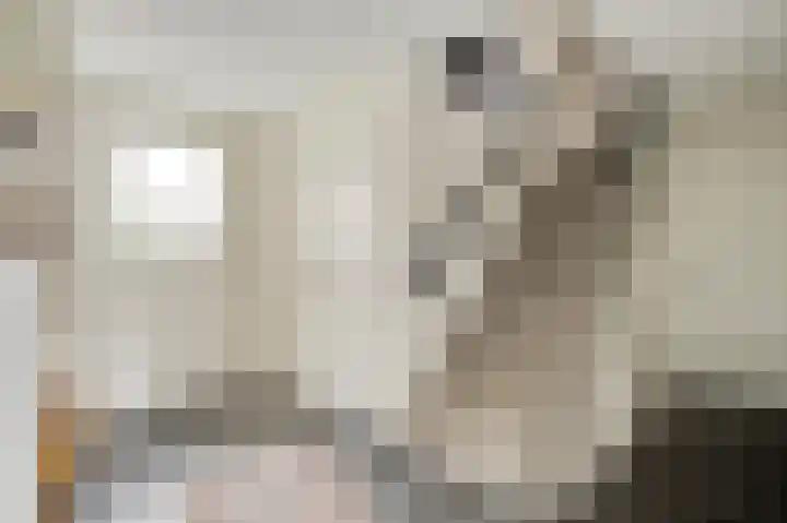 Beeleweg 19 Stramproy thumbnail 5