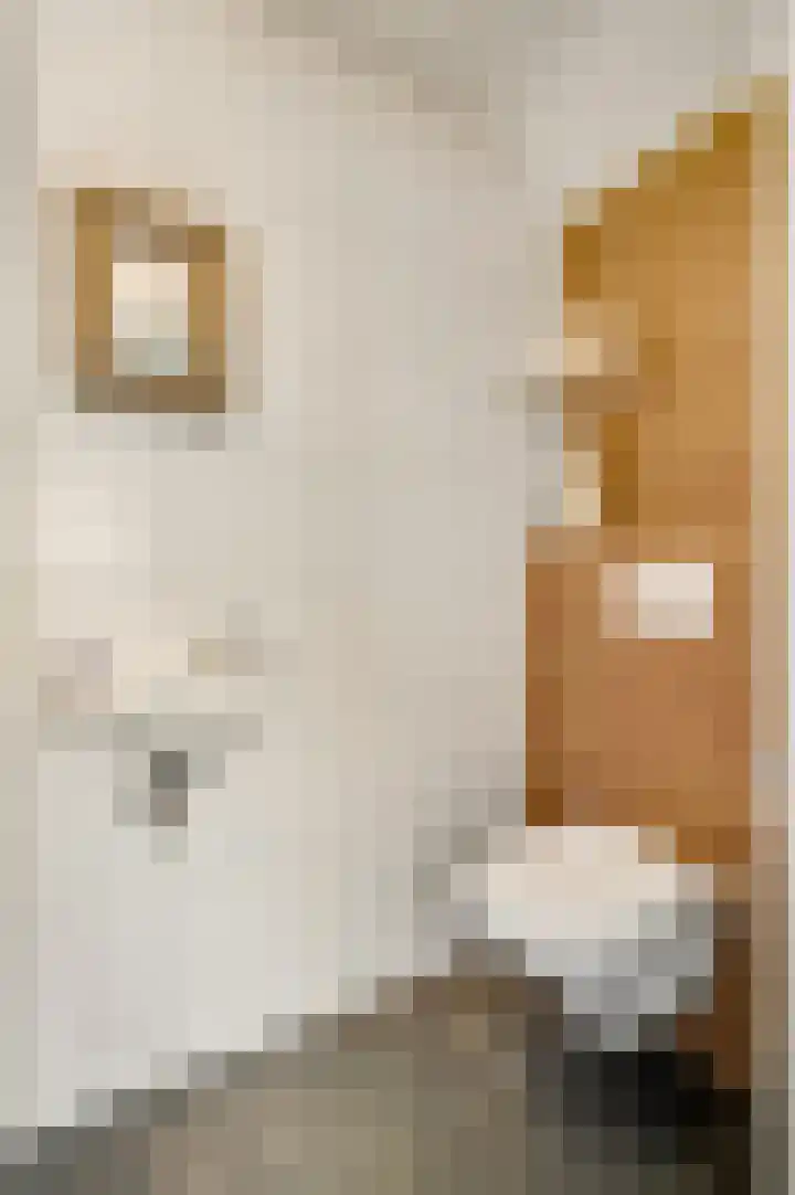 Beeleweg 19 Stramproy thumbnail 8