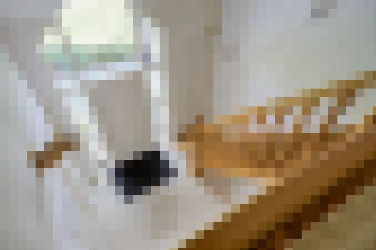 Beelgaarde 10 Etten-Leur thumbnail 22