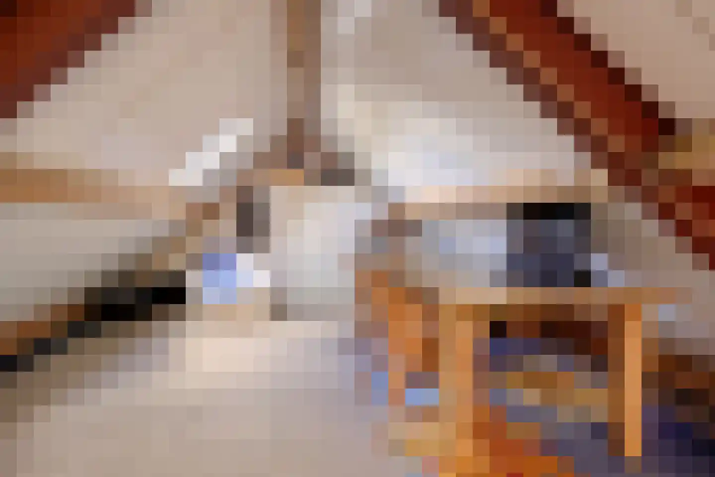 Beelgaarde 10 Etten-Leur thumbnail 39
