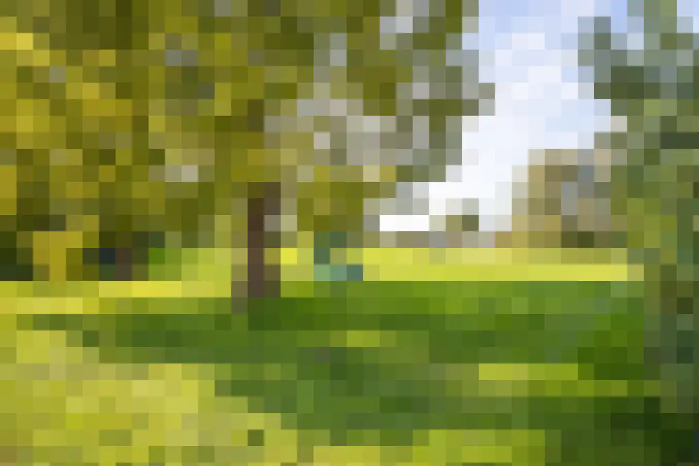 Beelgaarde 10 Etten-Leur thumbnail 57