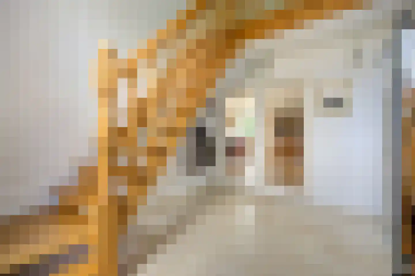 Beelgaarde 10 Etten-Leur thumbnail 7
