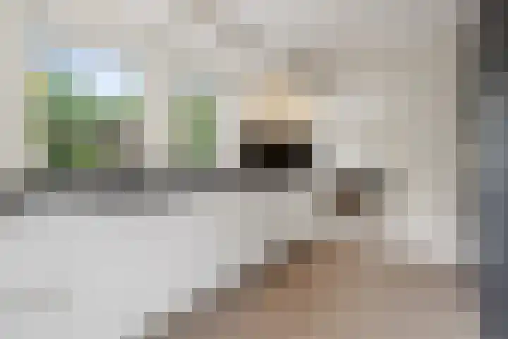 Beelgaarde 2 Etten-Leur thumbnail 16