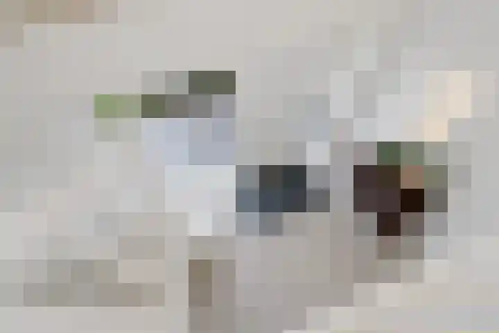 Beelgaarde 2 Etten-Leur thumbnail 29