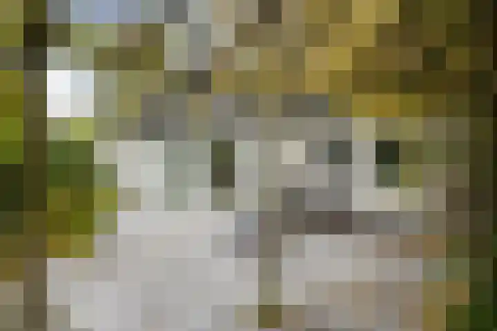 Beelgaarde 2 Etten-Leur thumbnail 51