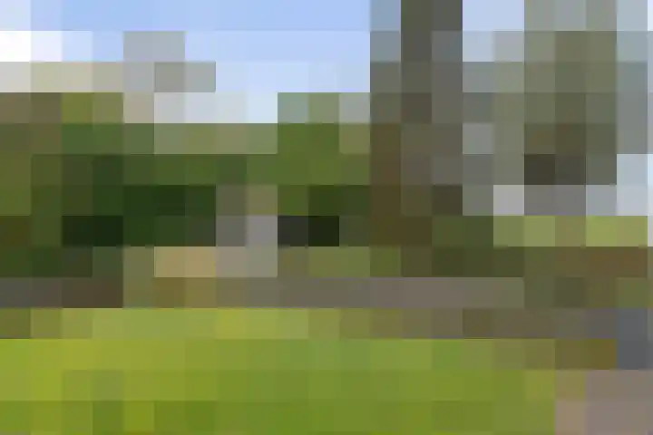 Beelgaarde 2 Etten-Leur thumbnail 52
