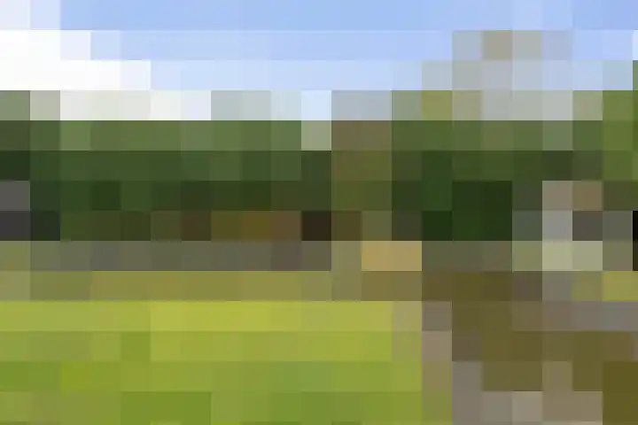 Beelgaarde 2 Etten-Leur thumbnail 54
