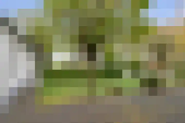 Beelgaarde 2 Etten-Leur thumbnail 56
