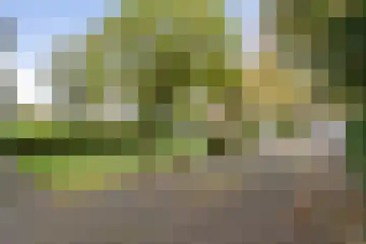 Beelgaarde 2 Etten-Leur thumbnail 57