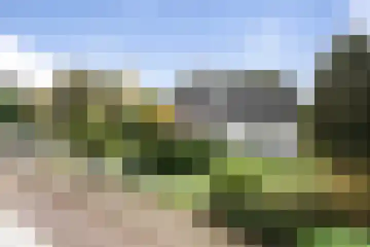 Beelgaarde 2 Etten-Leur thumbnail 59