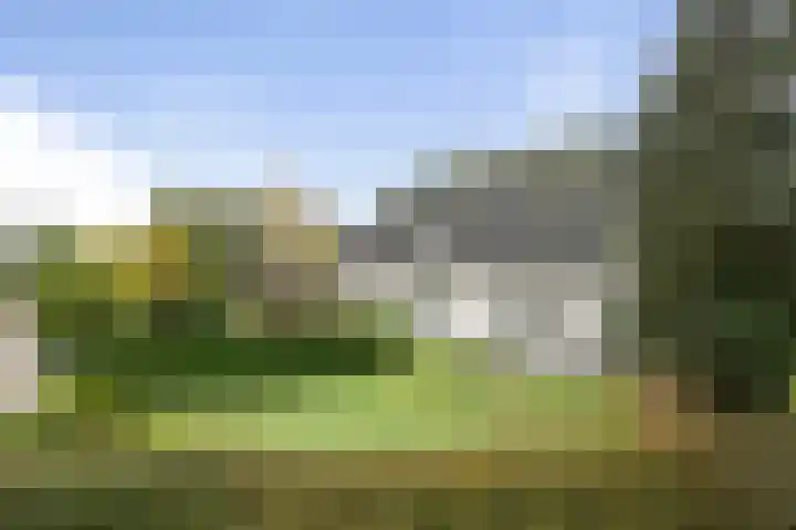 Beelgaarde 2 Etten-Leur thumbnail 61