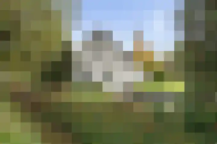 Beelgaarde 2 Etten-Leur thumbnail 62