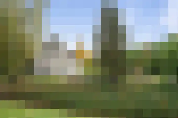 Beelgaarde 2 Etten-Leur thumbnail 63