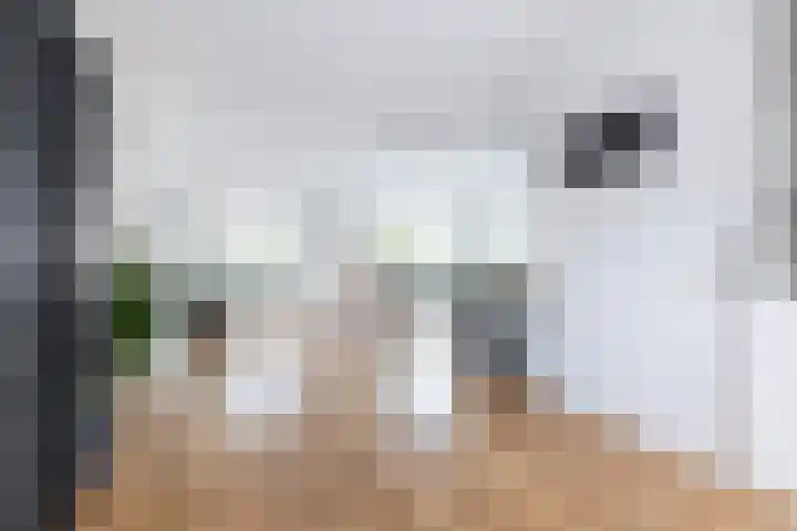 Beelhof 2 Wezep thumbnail 10