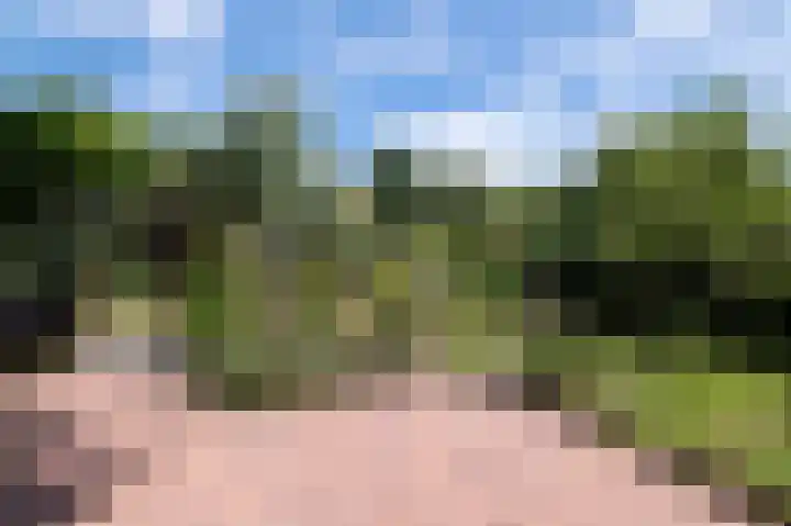 Beelhof 2 Wezep thumbnail 29