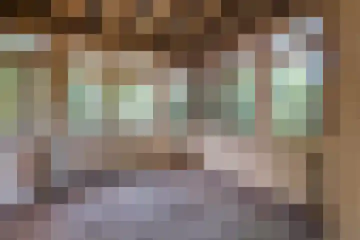 Beelhof 2 Wezep thumbnail 36