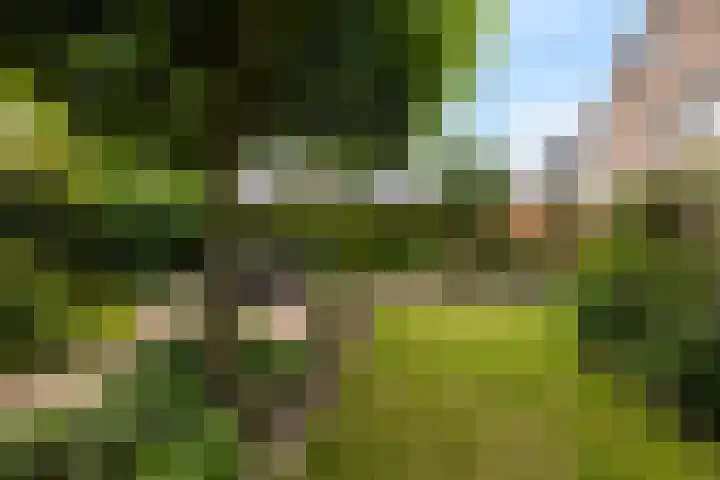 Beelhof 2 Wezep thumbnail 46