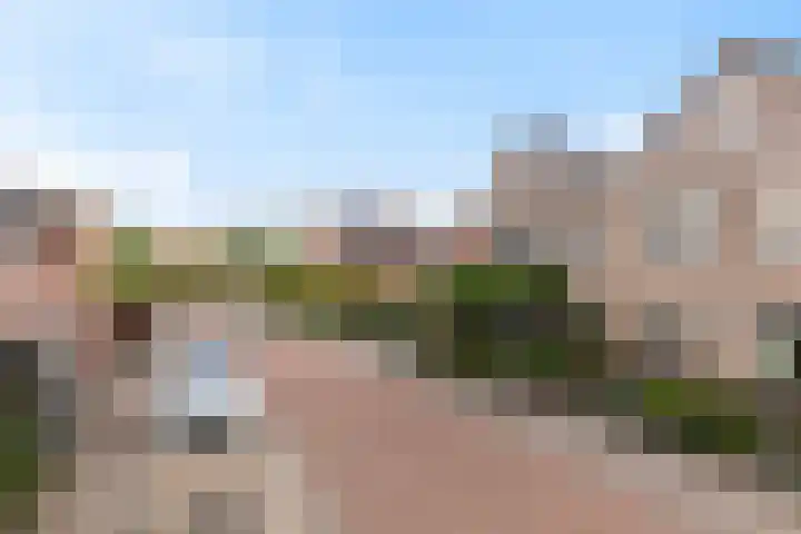 Beelhof 2 Wezep thumbnail 48