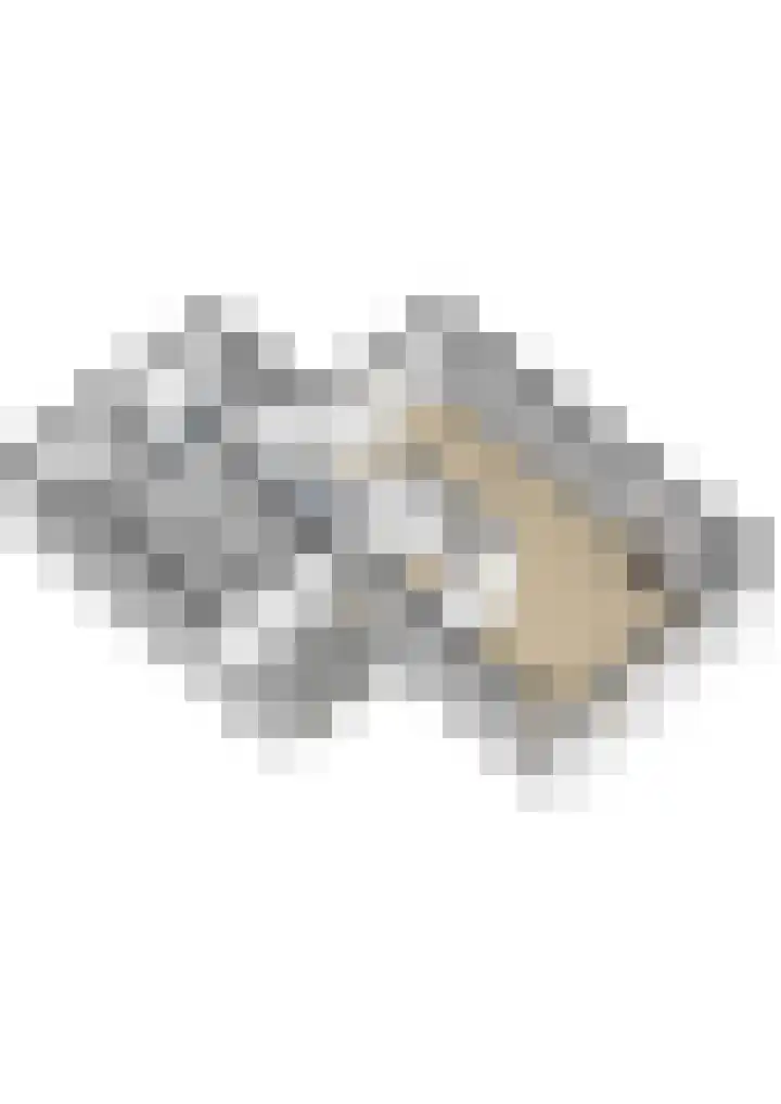 Beelhof 2 Wezep thumbnail 52