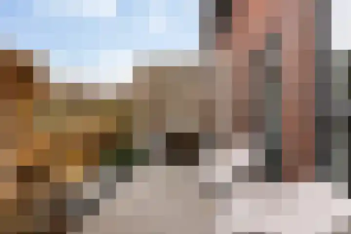 Beelhof 21 Wezep thumbnail 31