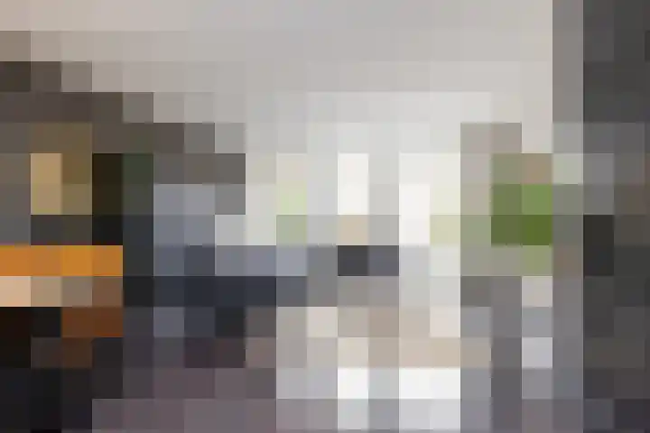 Beelhof 21 Wezep thumbnail 8