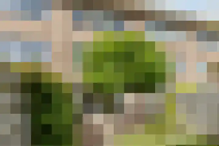 Beellaan 11 Uithoorn thumbnail 31