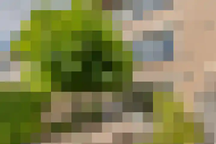Beellaan 11 Uithoorn thumbnail 32