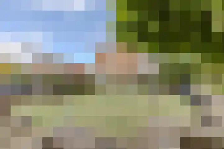 Beellaan 11 Uithoorn thumbnail 36