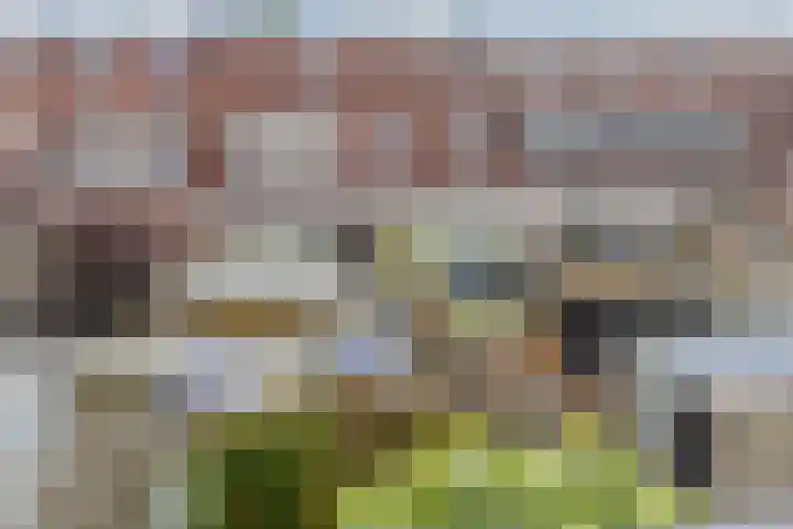 Beellaan 11 Uithoorn thumbnail 38