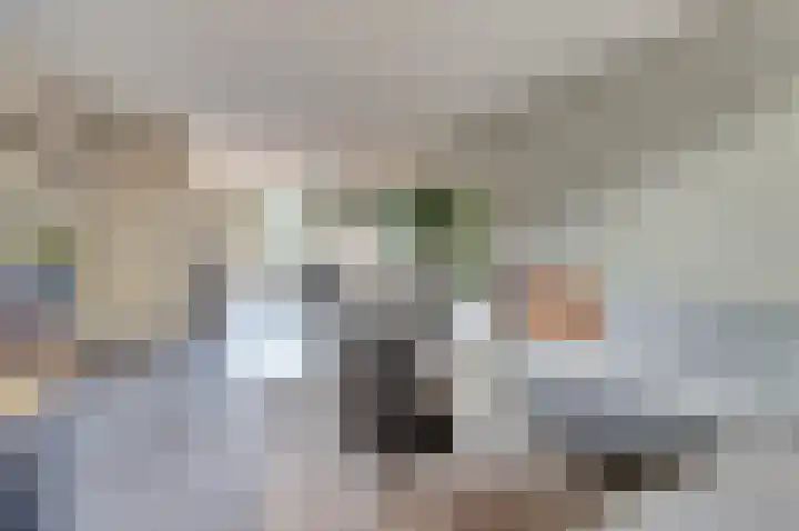 Beellaan 12 Vlijmen thumbnail 12
