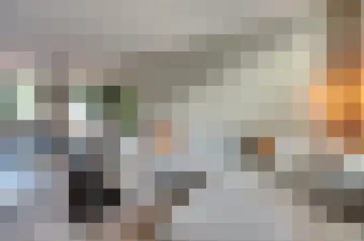 Beellaan 12 Vlijmen thumbnail 13
