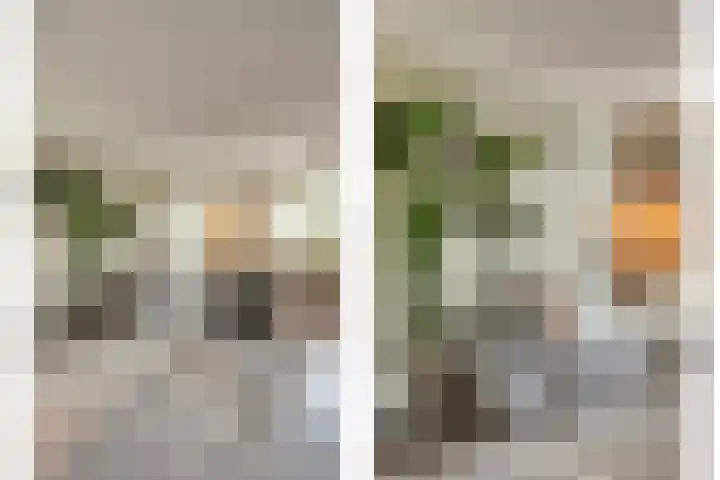 Beellaan 12 Vlijmen thumbnail 15