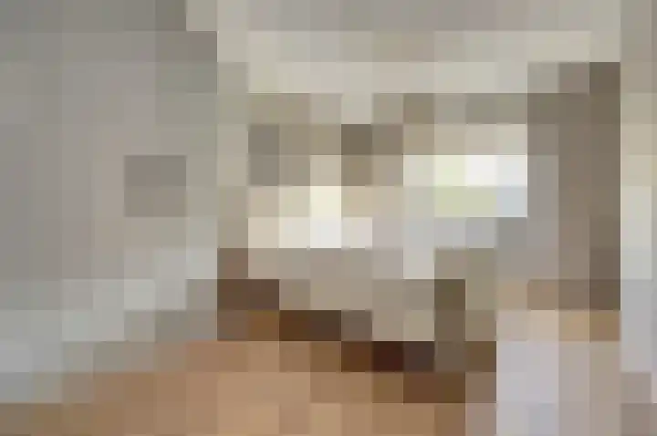 Beellaan 12 Vlijmen thumbnail 20
