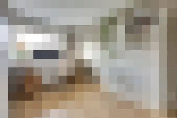 Beellaan 12 Vlijmen thumbnail 22