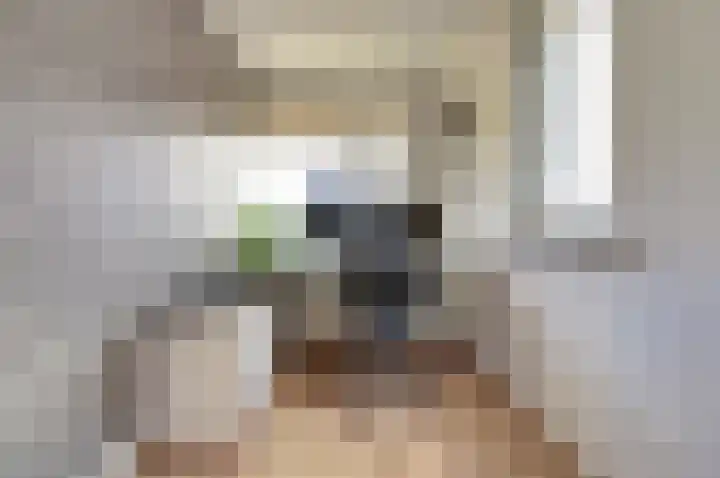 Beellaan 12 Vlijmen thumbnail 24