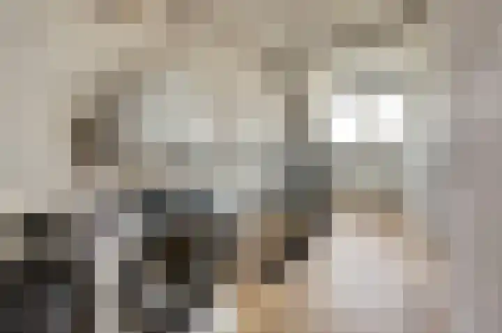 Beellaan 12 Vlijmen thumbnail 33