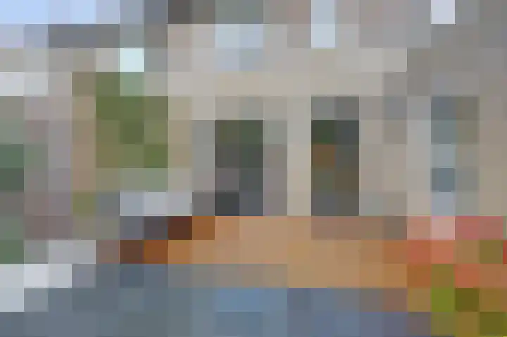 Beellaan 12 Vlijmen thumbnail 35