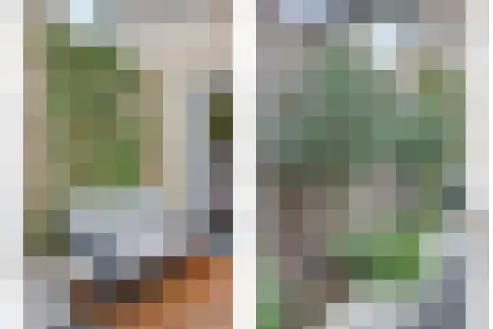 Beellaan 12 Vlijmen thumbnail 39