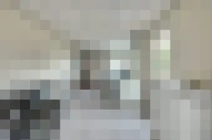 Beellaan 12 Vlijmen thumbnail 41