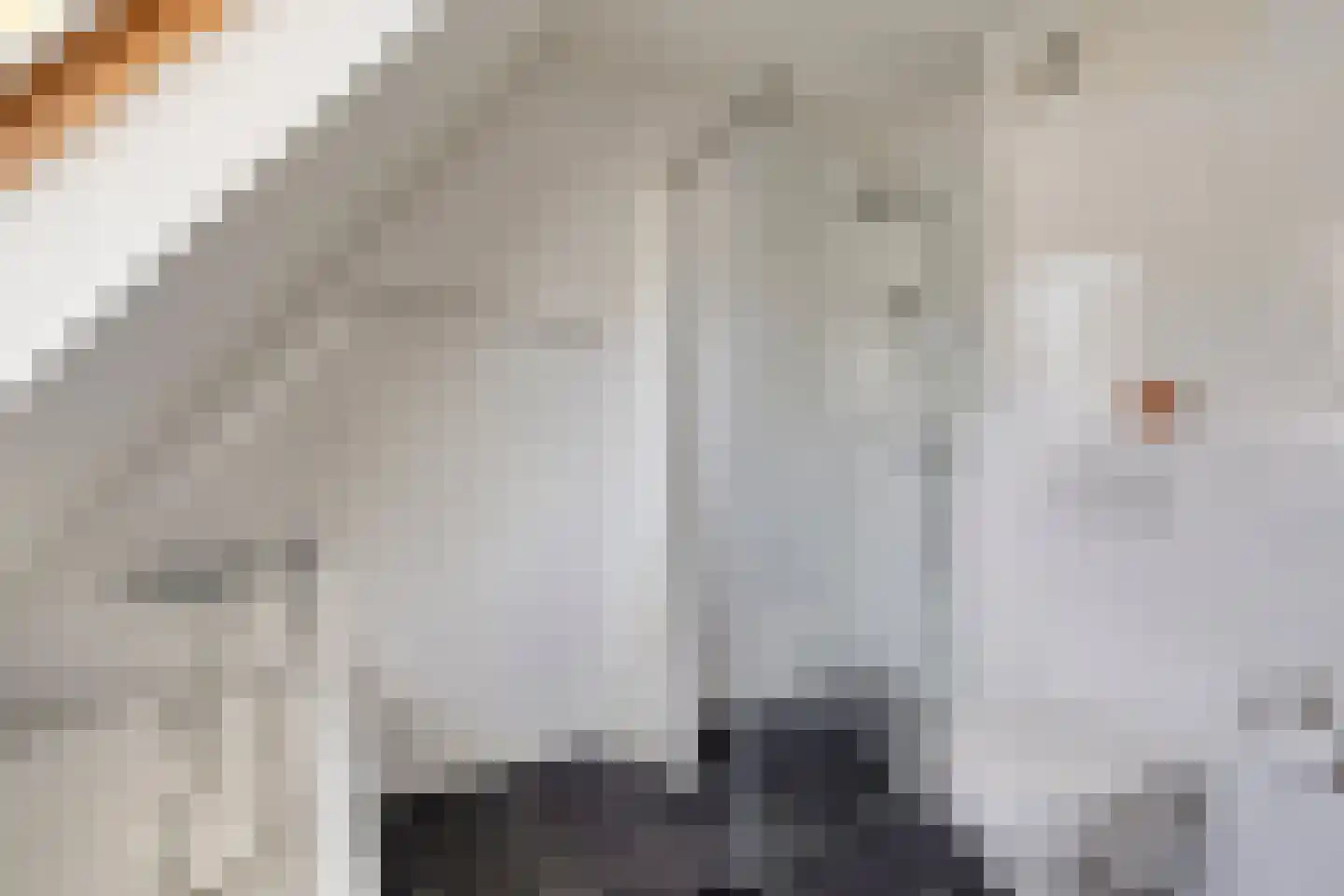 Beellaan 13 Uithoorn thumbnail 10