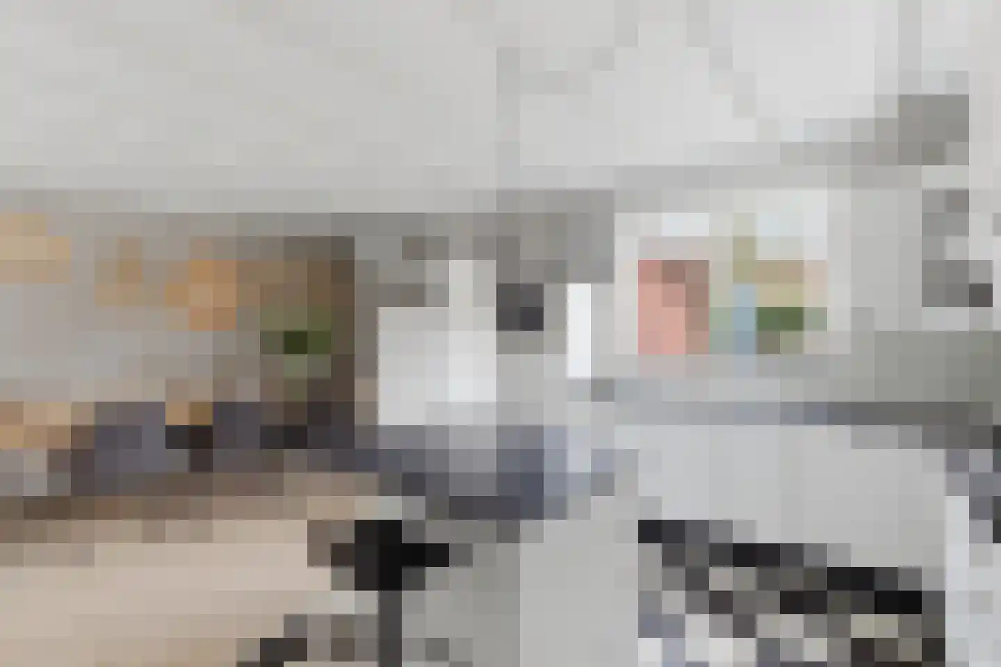 Beelmanstraat 15 Valkenswaard thumbnail 13