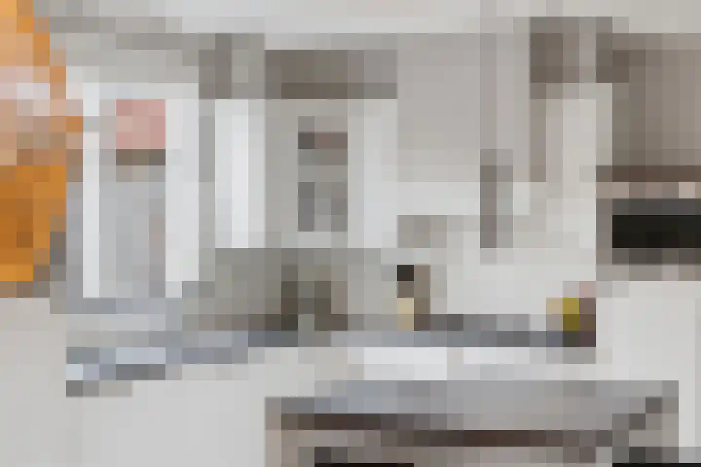 Beelmanstraat 15 Valkenswaard thumbnail 16
