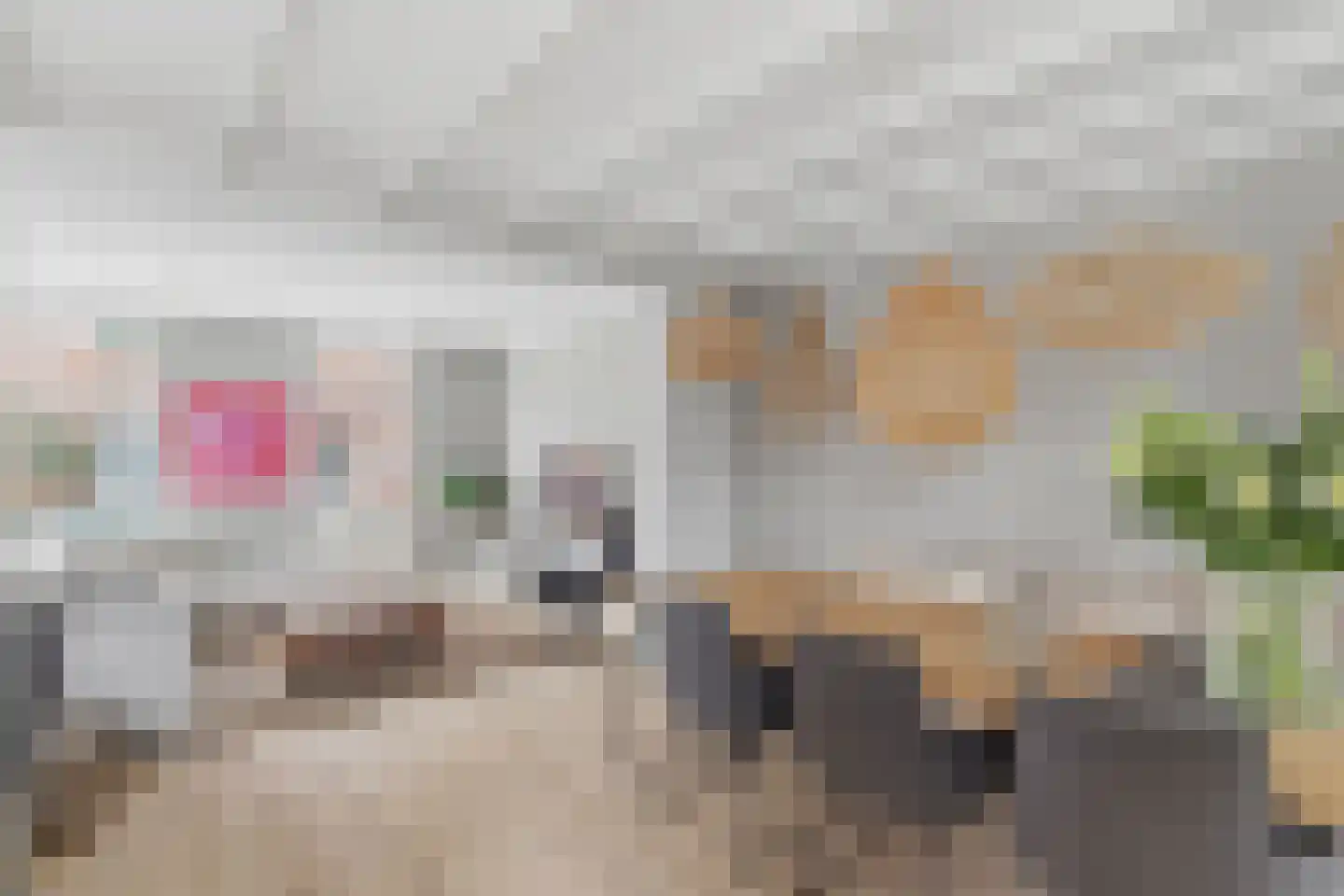 Beelmanstraat 15 Valkenswaard thumbnail 24