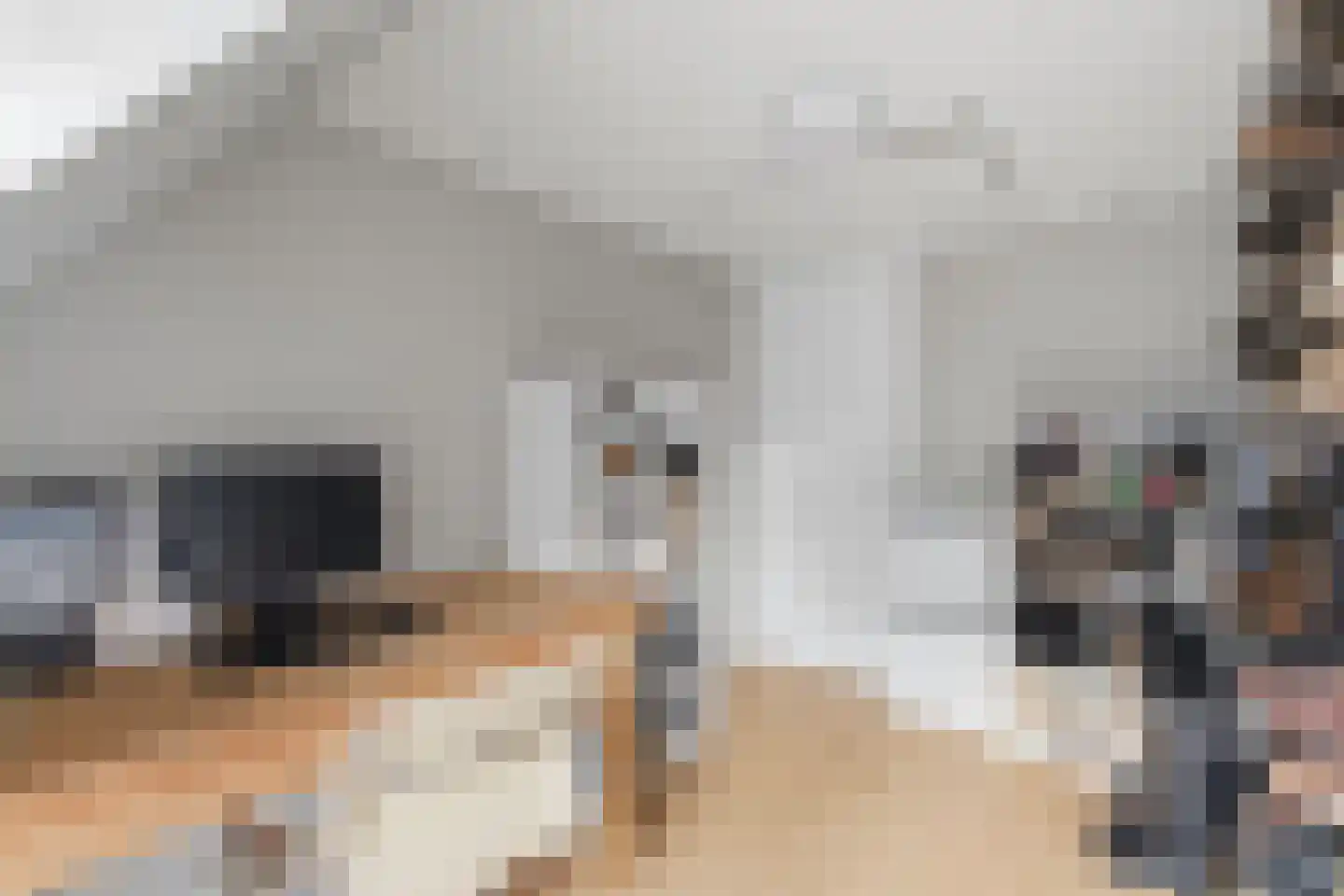Beelmanstraat 15 Valkenswaard thumbnail 32